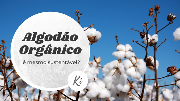 Algodão orgânico é mesmo sustentável?